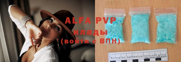 крисы Алзамай