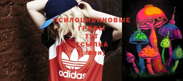МДМА Алексеевка