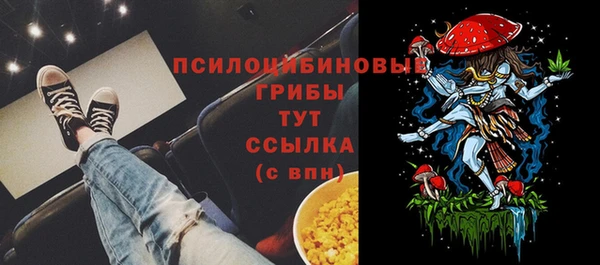 крисы Алзамай